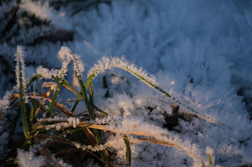 Naturwunder in der Windl&uuml;cke