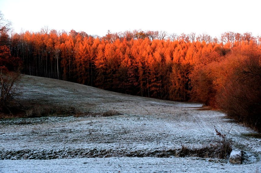 Naturwunder in der Windl&uuml;cke
