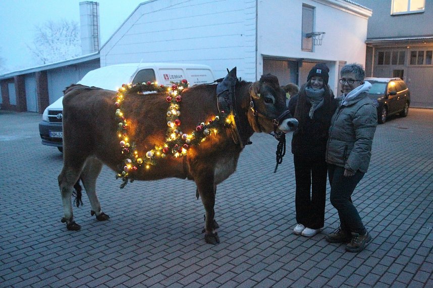 Wenn der Weihnachtsochse�durch die D&ouml;rfer zieht