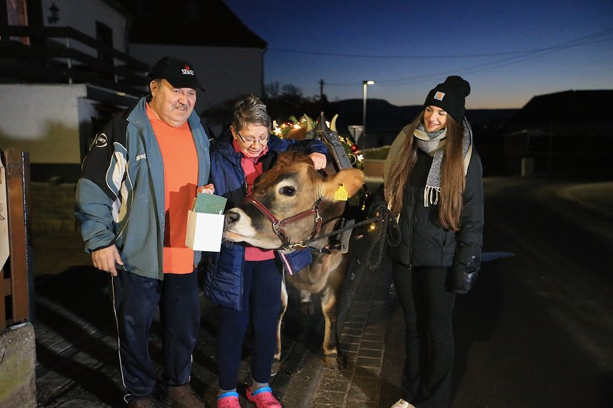Wenn der Weihnachtsochse�durch die D&ouml;rfer zieht