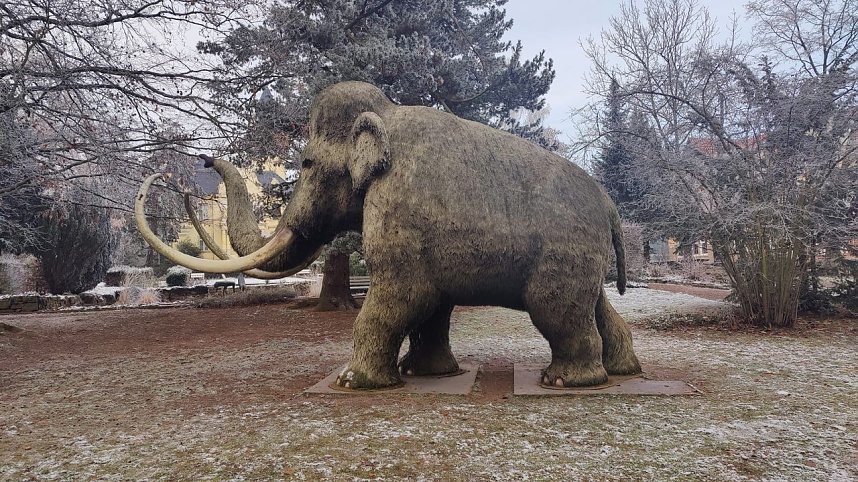 Peter Blei unterwegs in Nordhausen