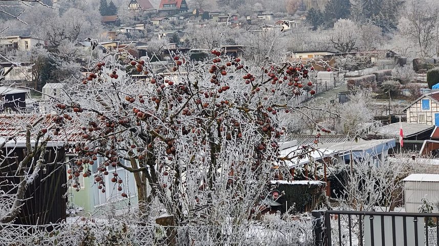 Peter Blei unterwegs in Nordhausen