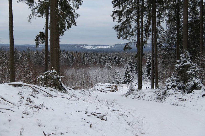 Braunlage im Schnee
