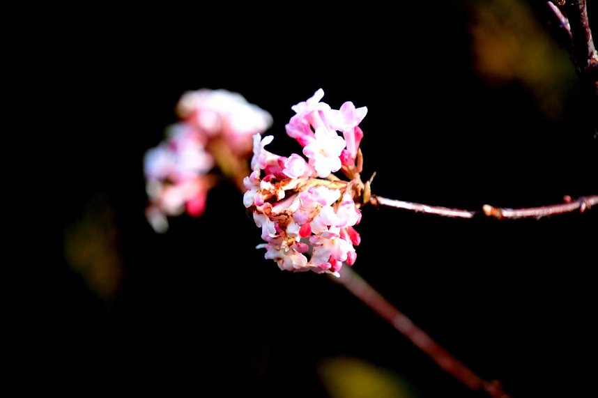 Peter Blei unterwegs in Nordhausen