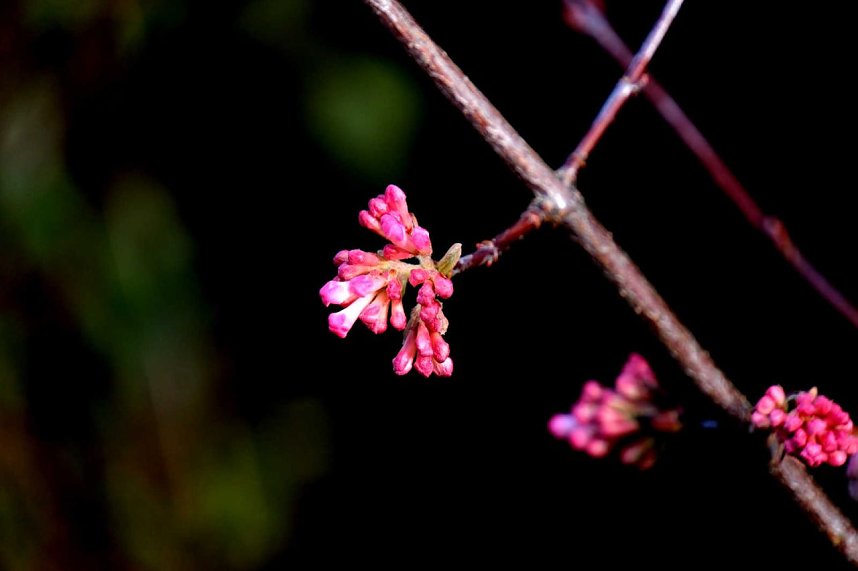 Peter Blei unterwegs in Nordhausen