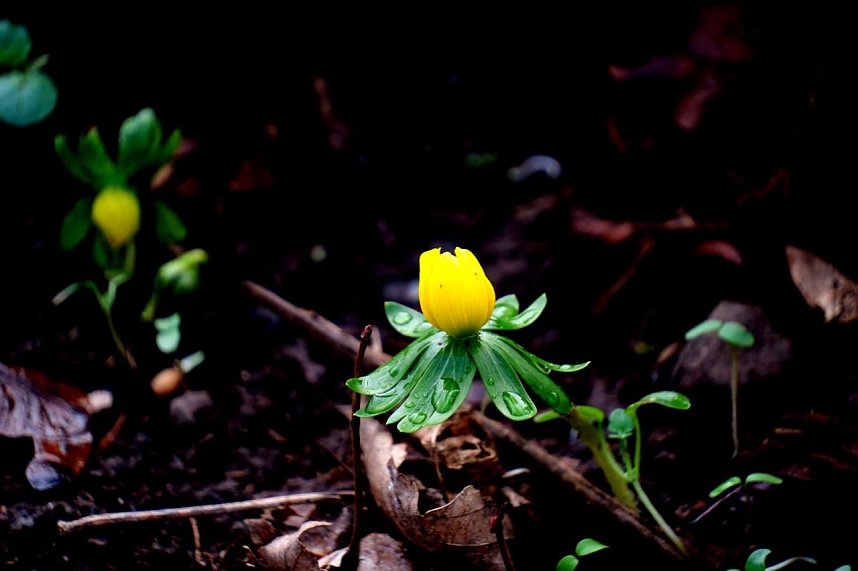 Peter Blei unterwegs in Nordhausen