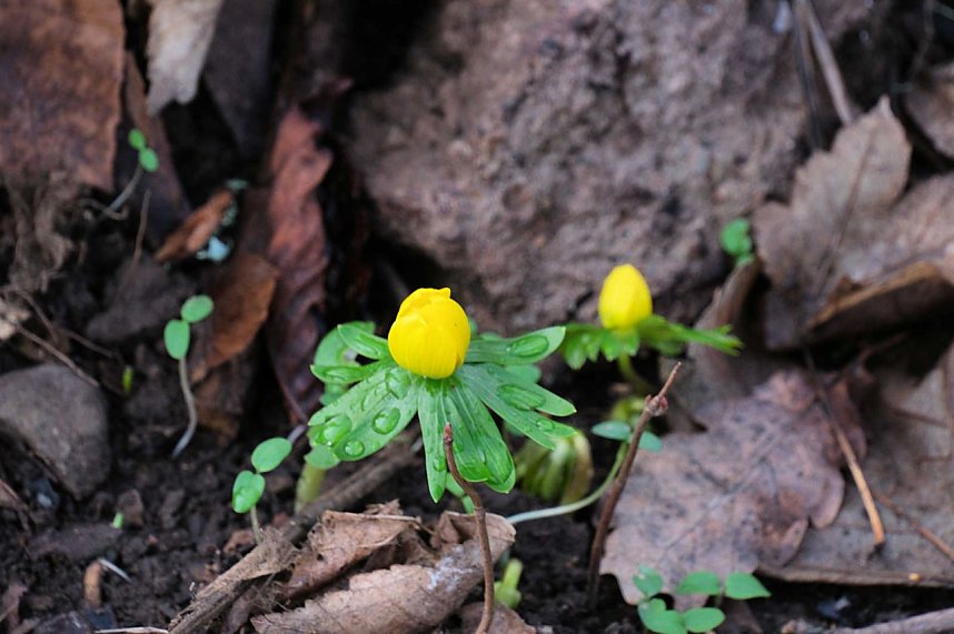 Peter Blei unterwegs in Nordhausen