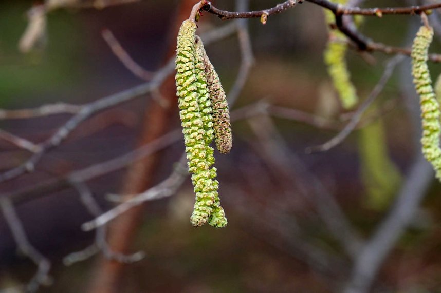 Peter Blei unterwegs in Nordhausen