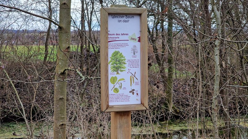 Demoliert, abgerissen - Vandalismus pur