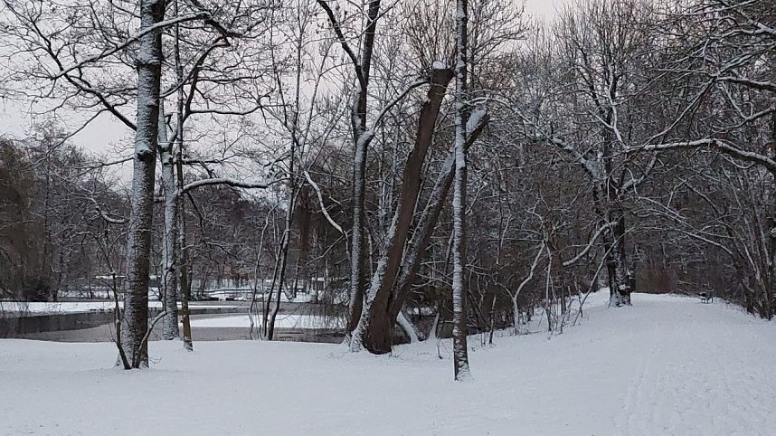 Sonntagmorgen im Stadtpark