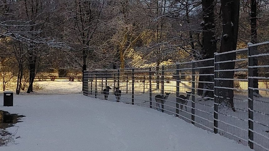 Sonntagmorgen im Stadtpark