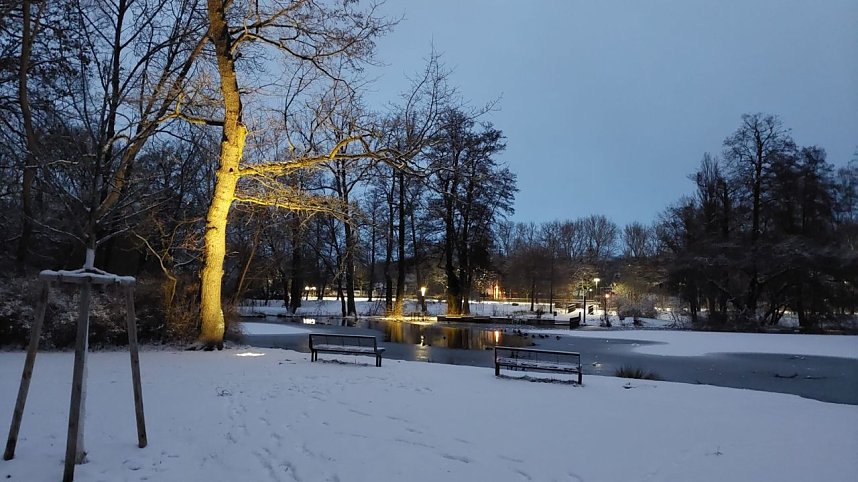 Sonntagmorgen im Stadtpark