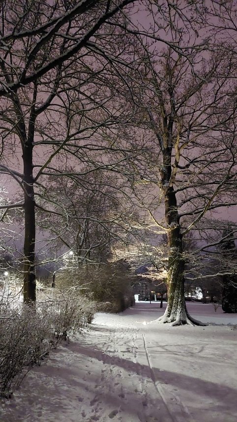 Sonntagmorgen im Stadtpark