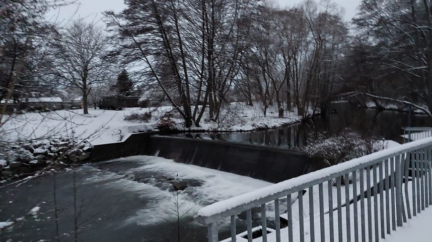 Sonntagmorgen im Stadtpark