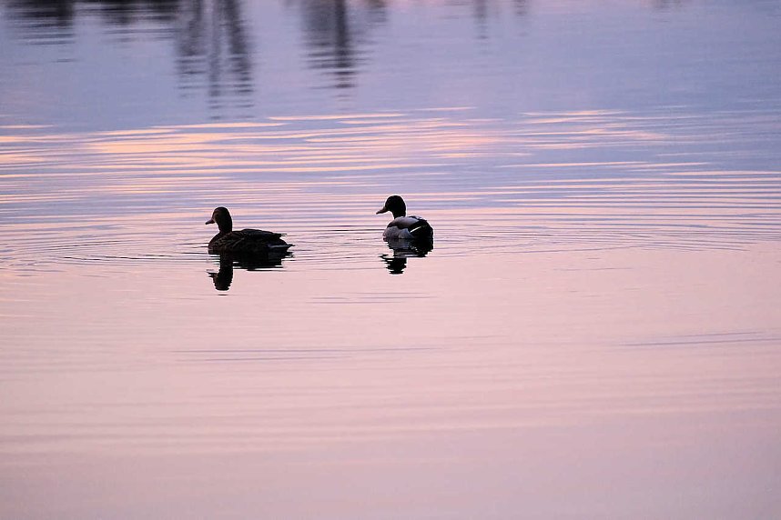 Abends in Nordhausen