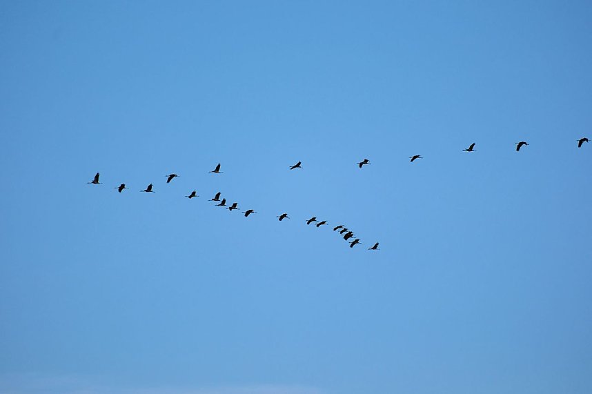 Spaziergang am Stausee Kelbra mit interessanten An- und Aussichten