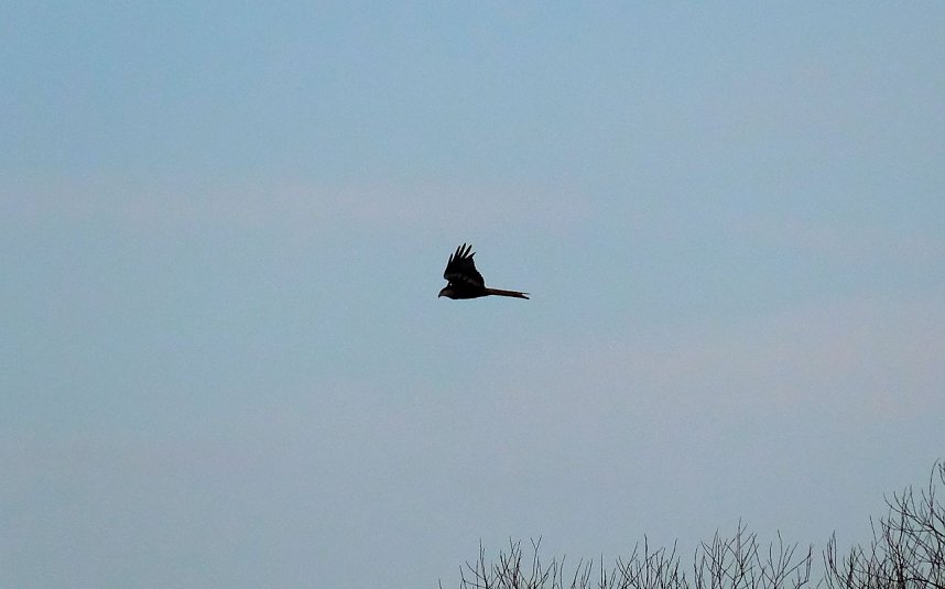 Spaziergang am Stausee Kelbra mit interessanten An- und Aussichten