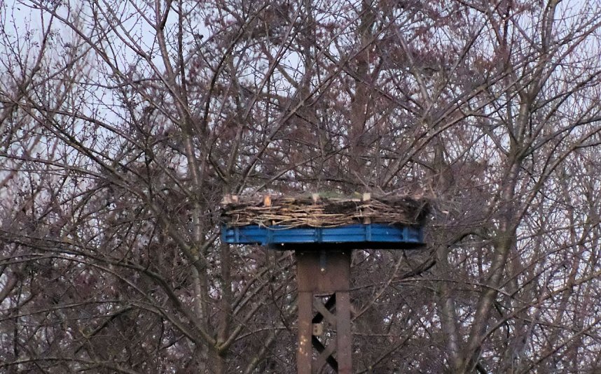 Spaziergang am Stausee Kelbra mit interessanten An- und Aussichten