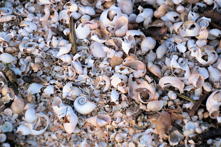 Spaziergang am Stausee Kelbra mit interessanten An- und Aussichten