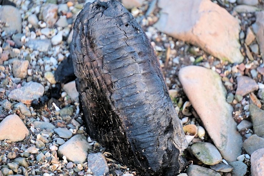 Spaziergang am Stausee Kelbra mit interessanten An- und Aussichten