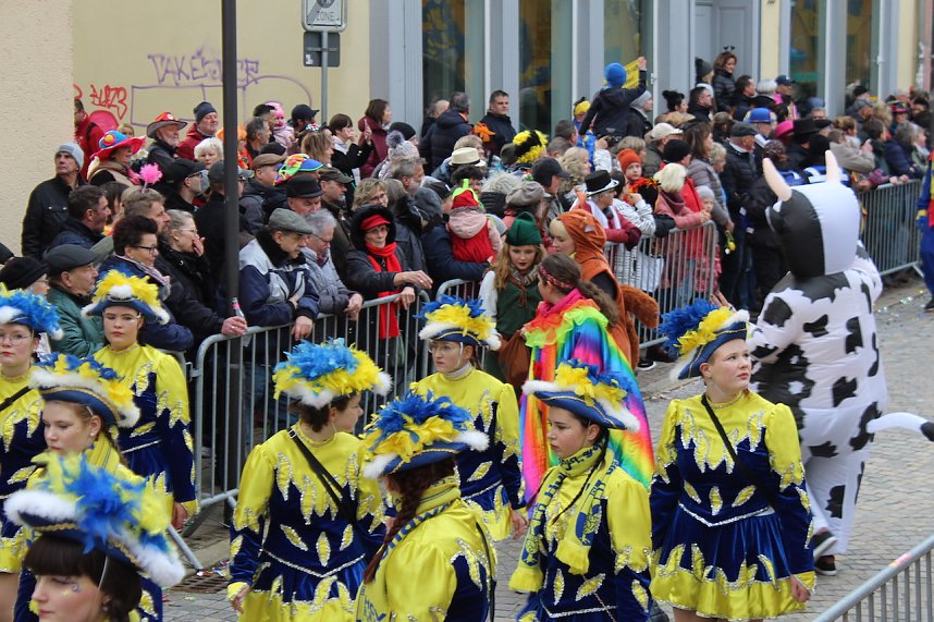 Ein bunter Karnevalszug zog sich am Rosenmontag durch Sondershausen