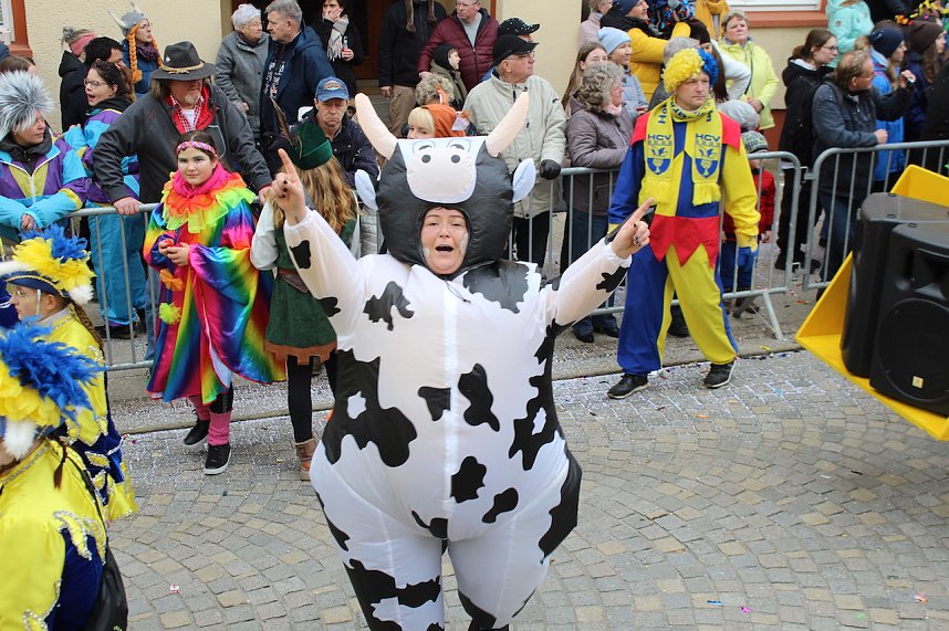 Ein bunter Karnevalszug zog sich am Rosenmontag durch Sondershausen