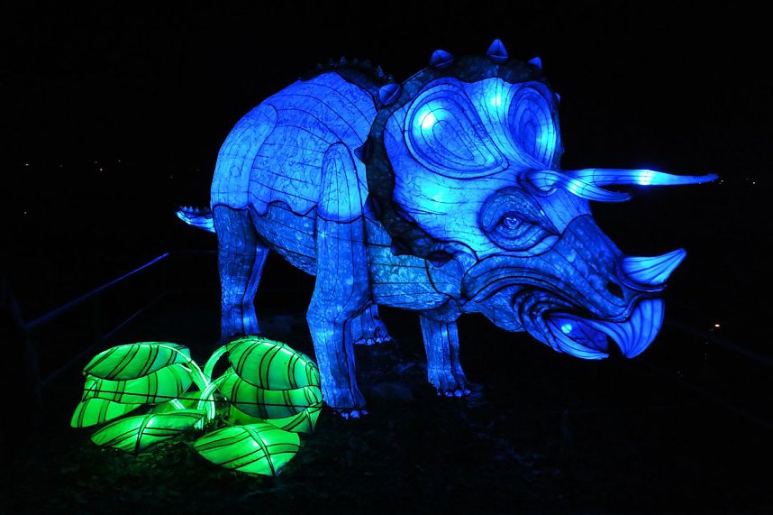 Peter Blei in den magischen Lichterwelten