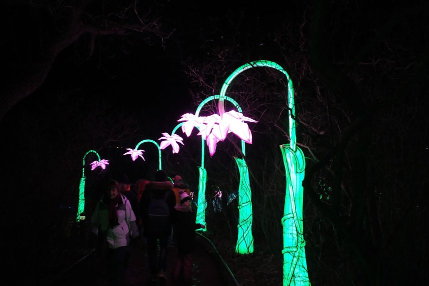 Peter Blei in den magischen Lichterwelten