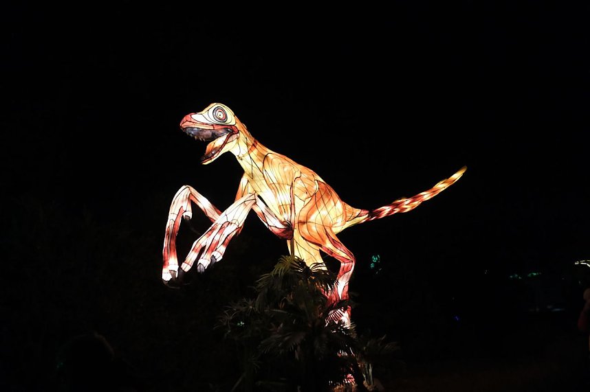 Peter Blei in den magischen Lichterwelten