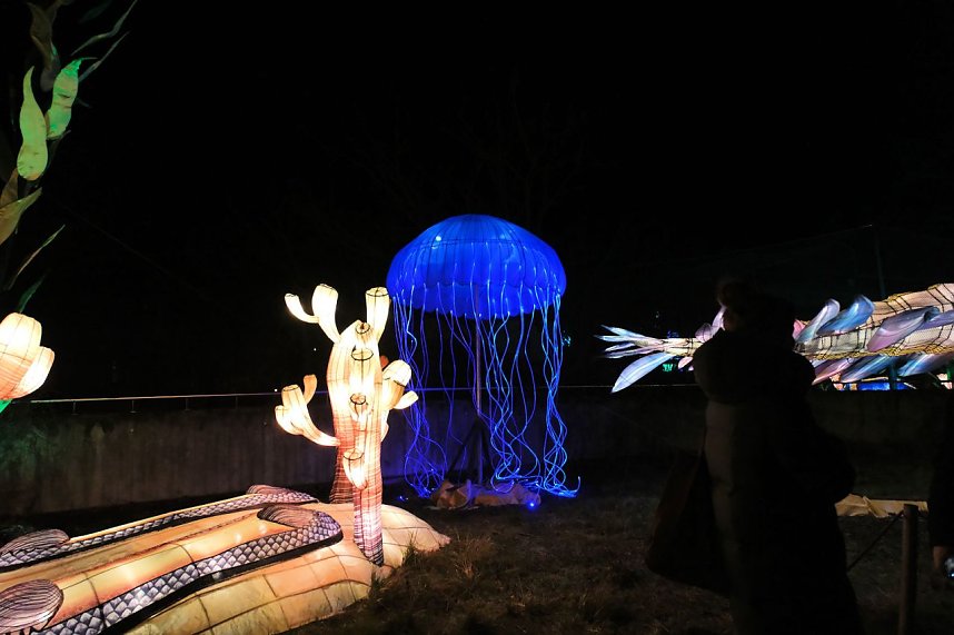 Peter Blei in den magischen Lichterwelten