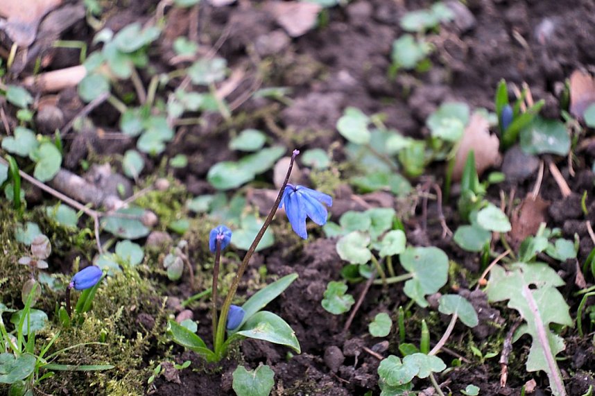 Beobachtungen im Park Hohenrode
