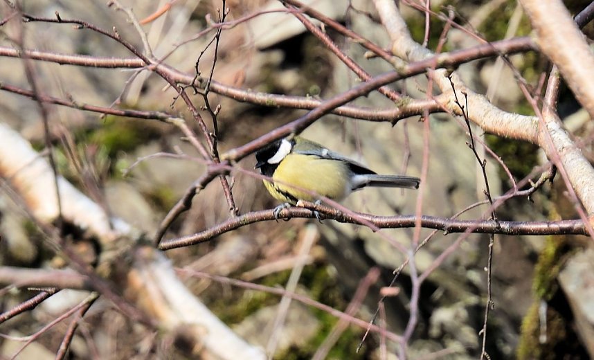 Peter Blei unterwegs an der Hasselvorsperre