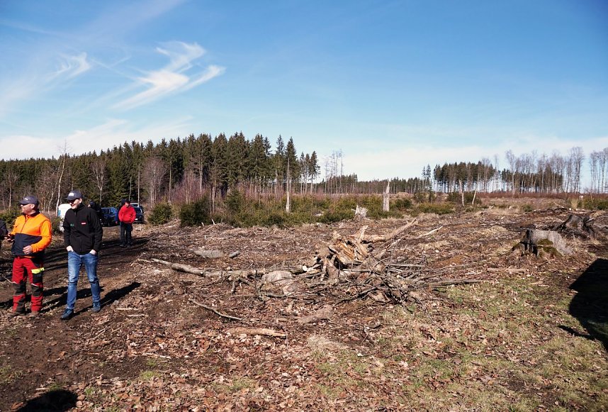 Baumzeit am Josephskreuz
