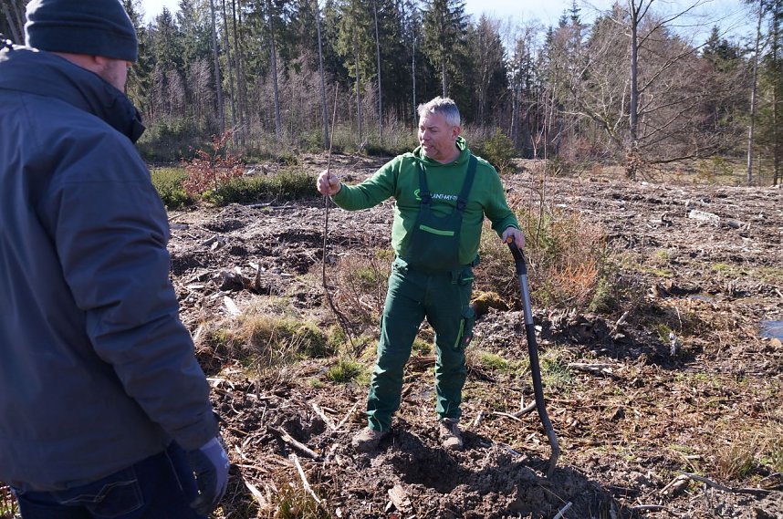 Baumzeit am Josephskreuz