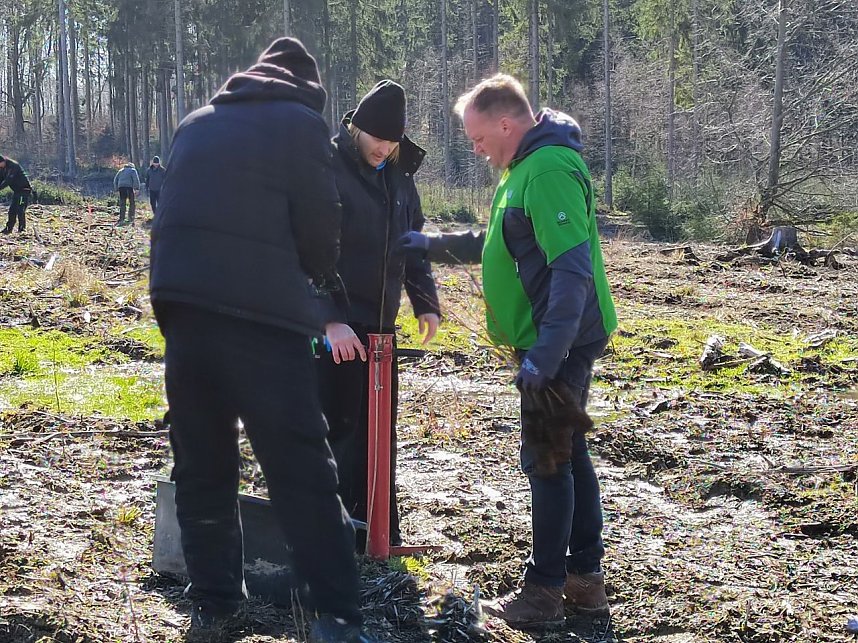 Baumzeit am Josephskreuz