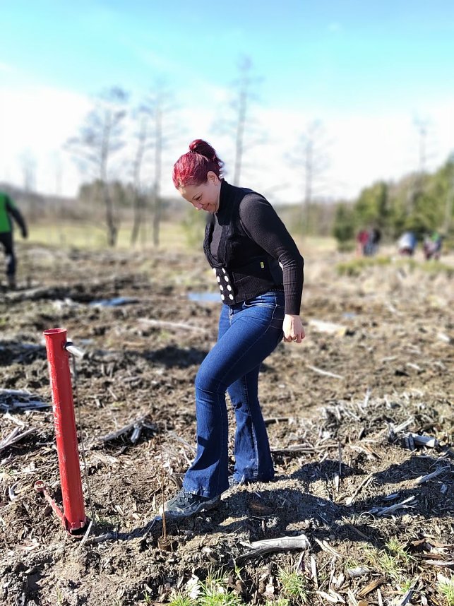 Baumzeit am Josephskreuz