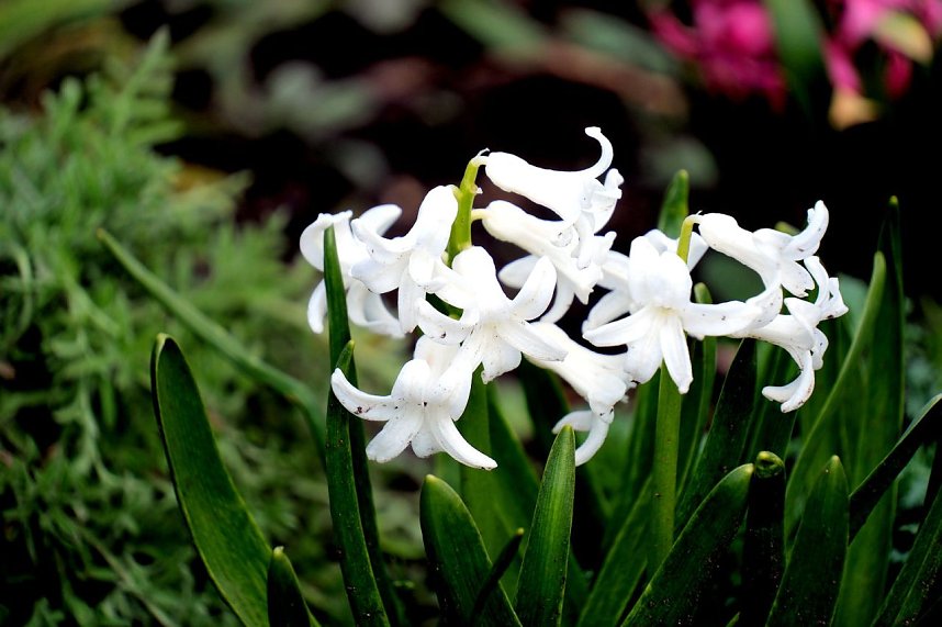 Peter Blei unterwegs auf dem Petersberg