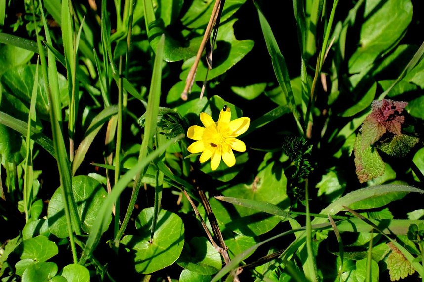 Osterspaziergang im Vorharz