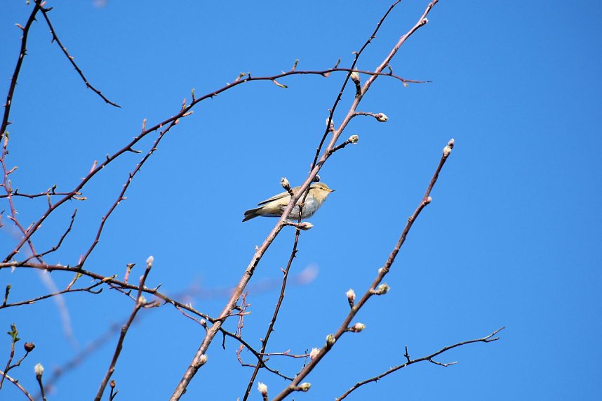 Peter Blei unterwegs in der Windl&uuml;cke