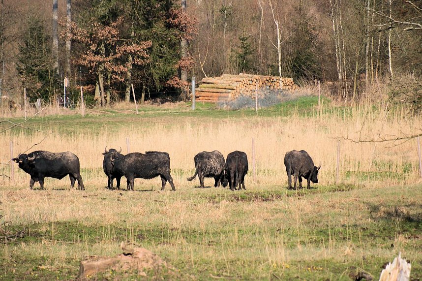 Peter Blei unterwegs in der Windl&uuml;cke
