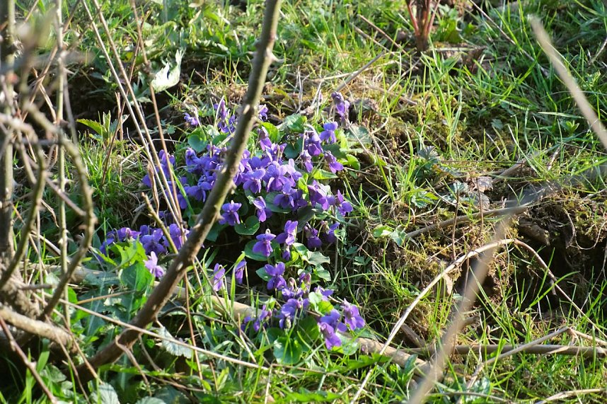Peter Blei unterwegs in der Windl&uuml;cke
