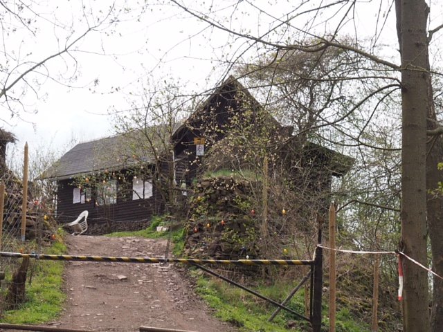 Fr&uuml;hlingsspuren auf dem Weg zur Ebersburg