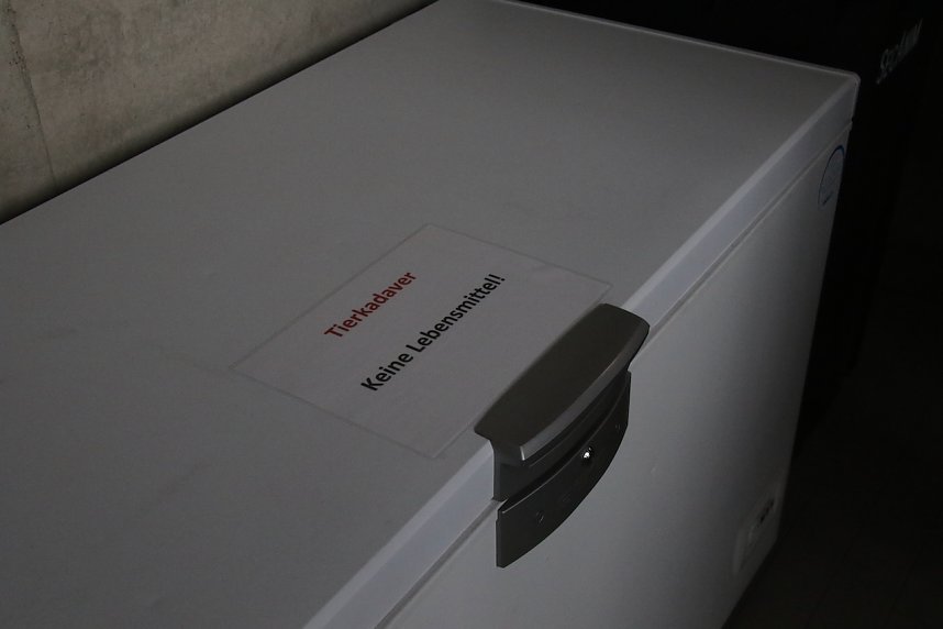 Ein erster Blick hinter die Fassade der neuen Feuerwache