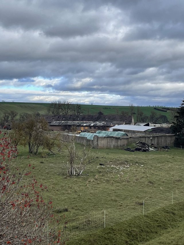 Ersch&uuml;tternde Bildbeweise von eklatanten Tierschutzvergehen
