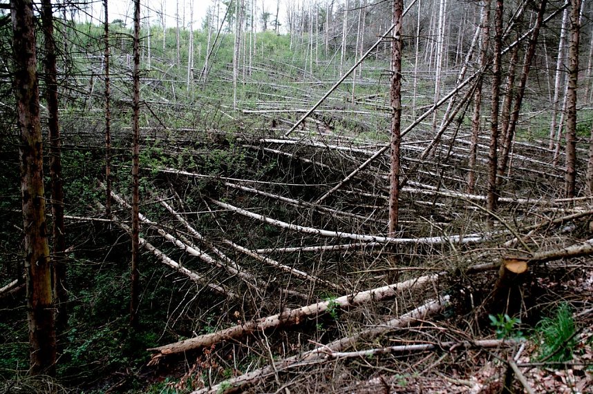 Peter Blei unterwegs in der Natur