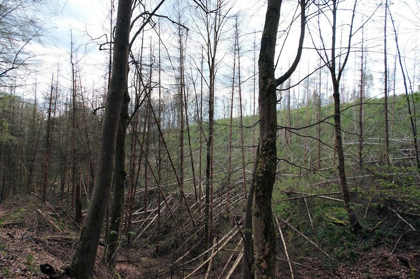 Peter Blei unterwegs in der Natur