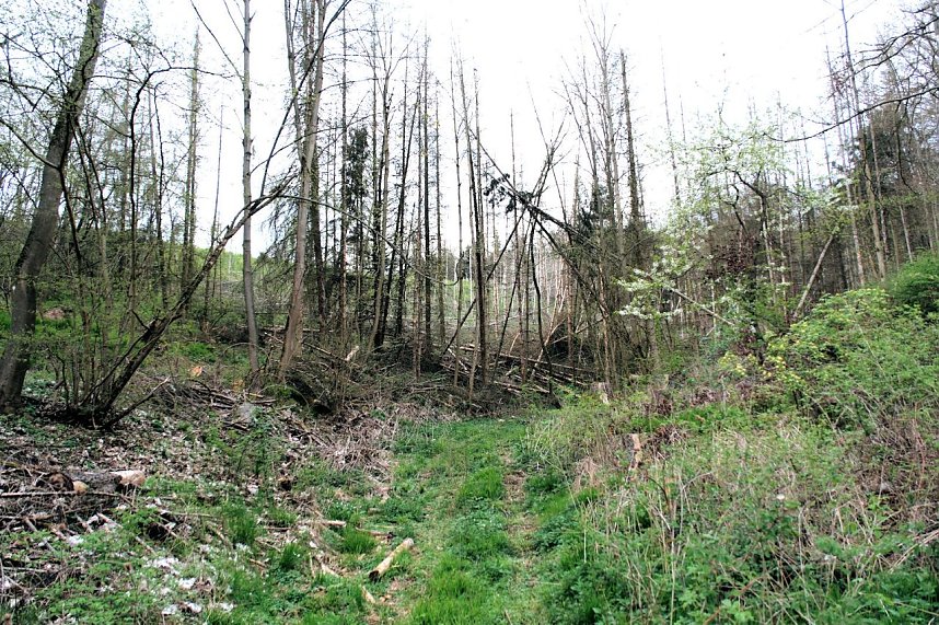 Peter Blei unterwegs in der Natur