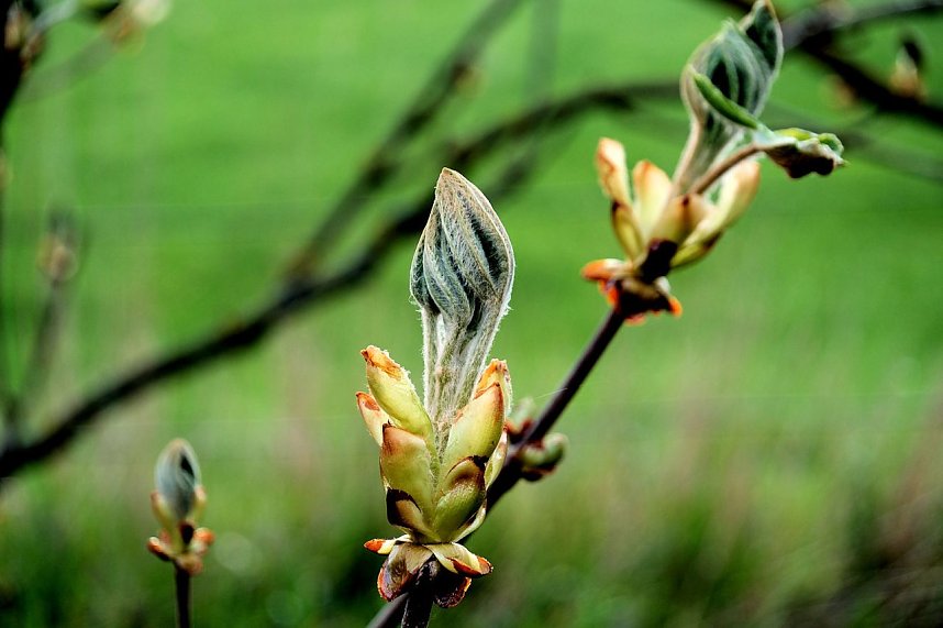 Peter Blei unterwegs in der Natur