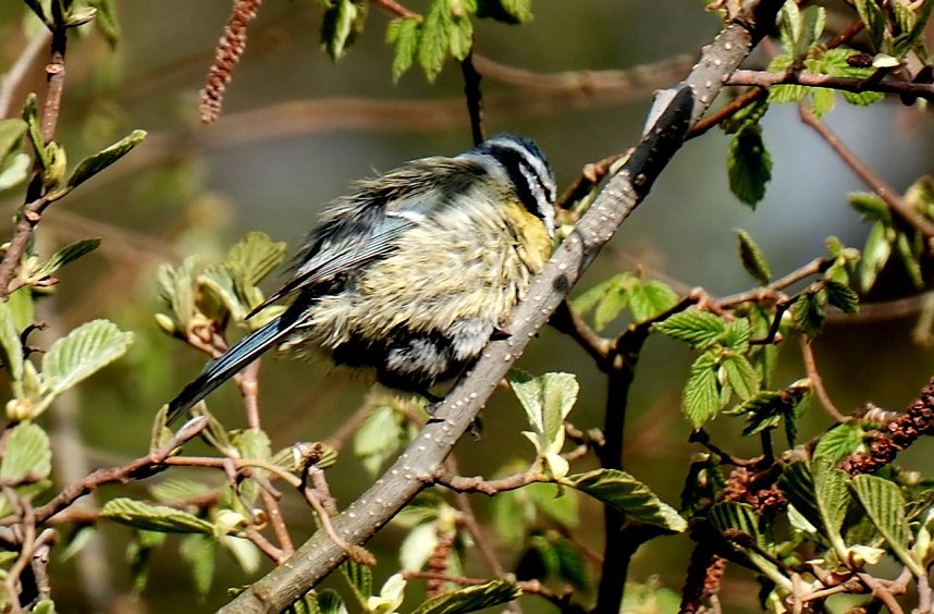 Peter Blei unterwegs in der Natur