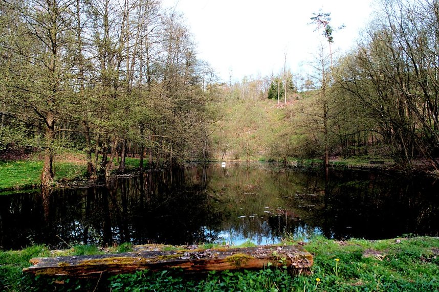 Peter Blei unterwegs in der Natur